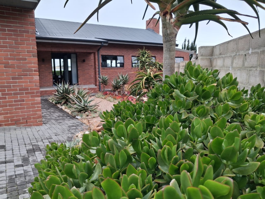 To Let 3 Bedroom Property for Rent in Groot Brakrivier Central Western Cape